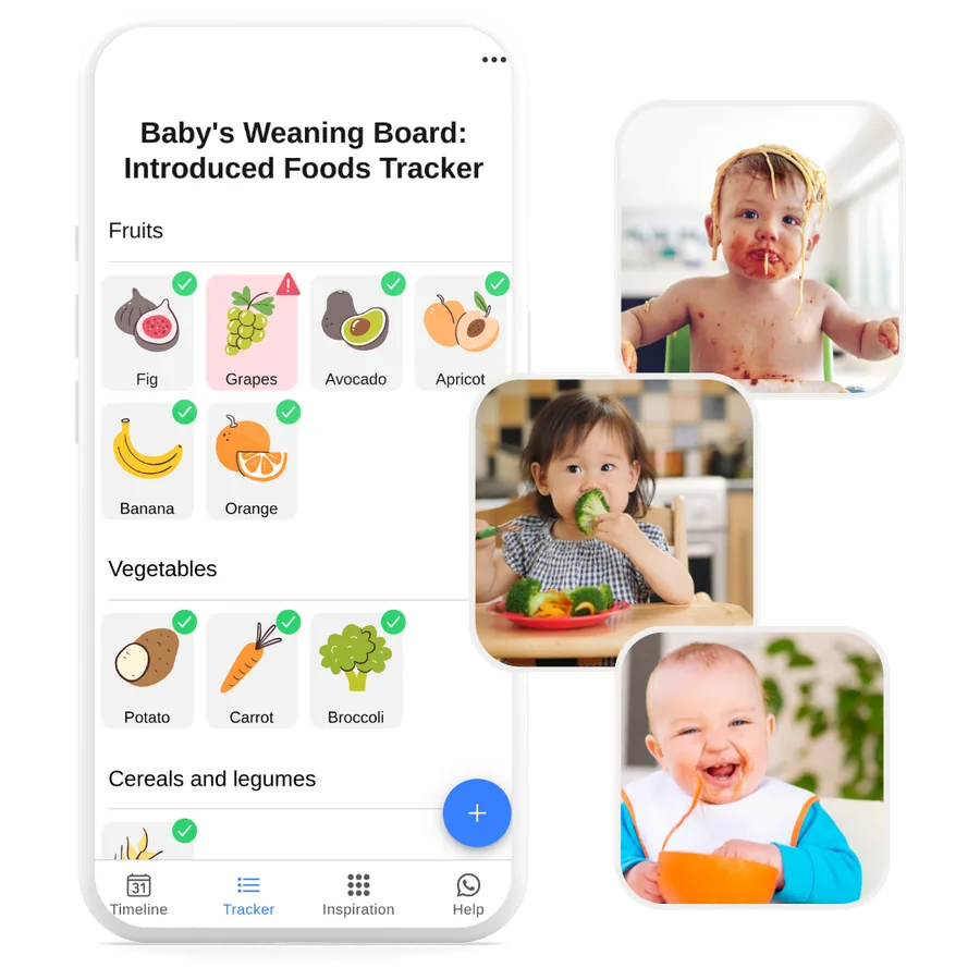 BabyWean tracker: the foods a baby has tried, grouped by category, with green ticks and a red warning on a food with a reaction